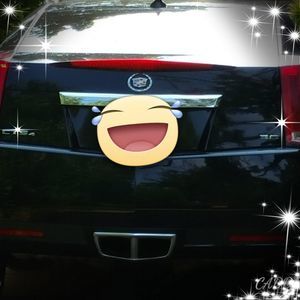 Meet your Posher, Gidget